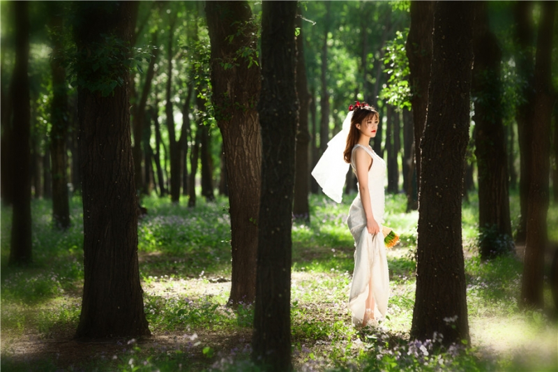 点击大图看下一张：静谧日光