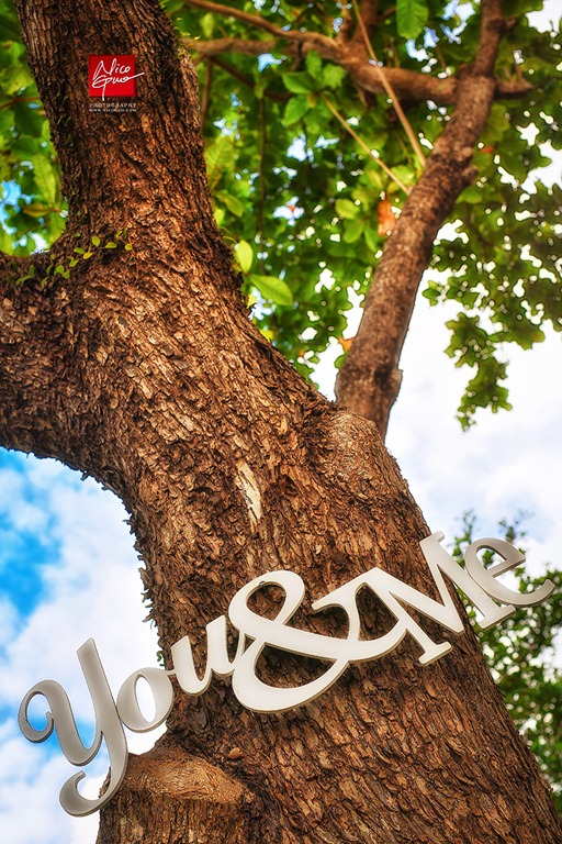 点击大图看下一张：爱的时光