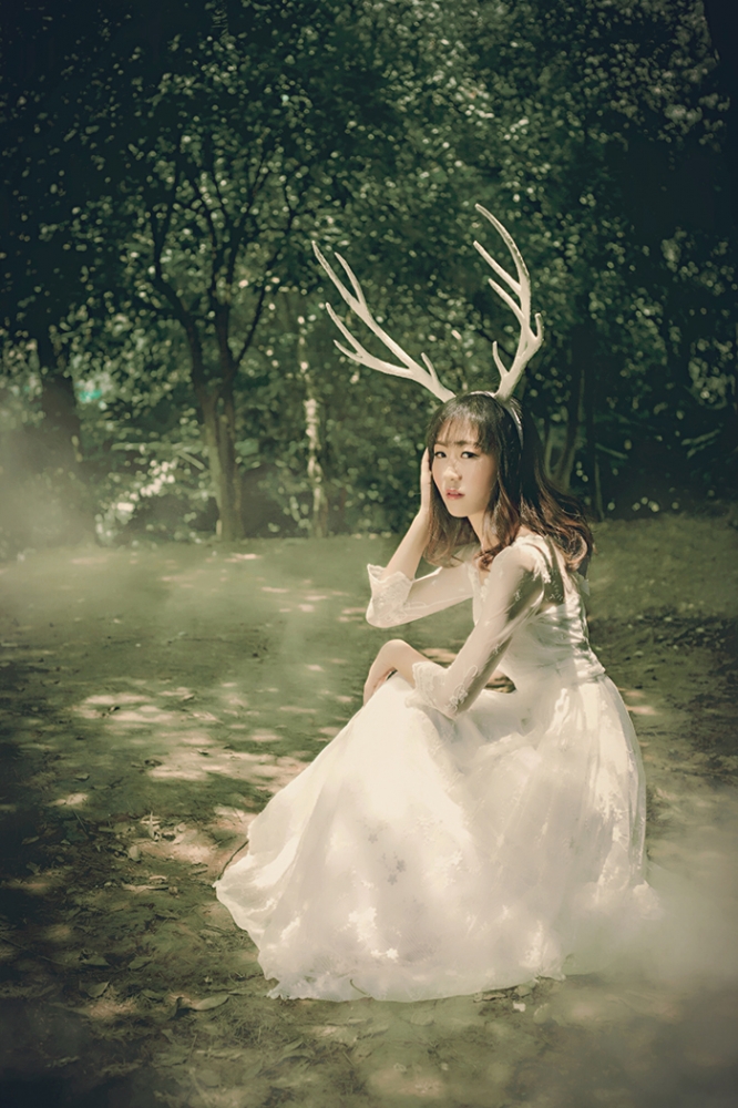 点击大图看下一张:麋鹿・迷路