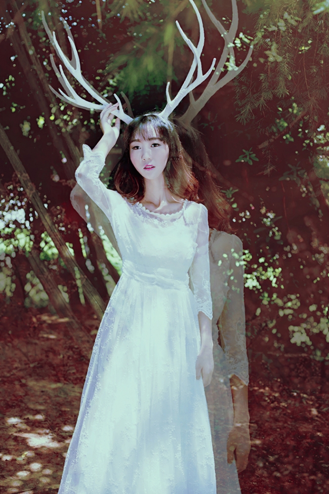 点击大图看下一张：麋鹿・迷路