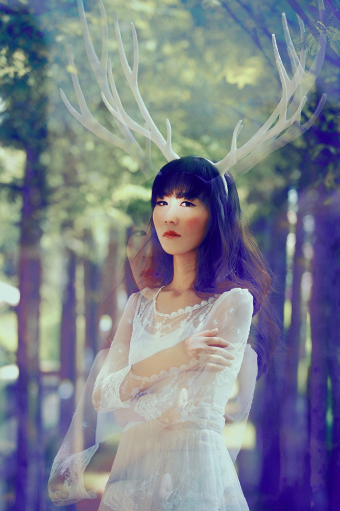 点击大图看下一张：麋鹿・迷路