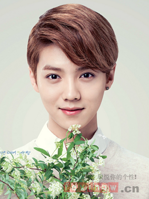 点击大图看下一张:男大学生适合什么发型 俊秀帅气电女神