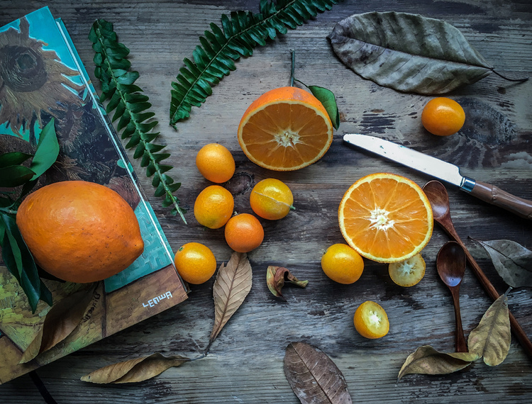 点击大图看下一张:早安小森林