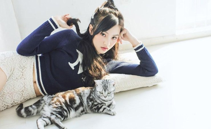 点击大图看下一张:黄灿灿少女与猫写真 萌态可人相映成趣