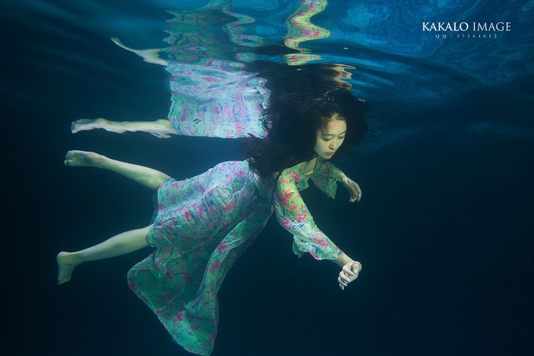 点击大图看下一张：梦里的水中花