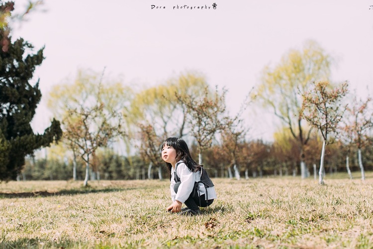 点击大图看下一张:微风吹拂着的春天