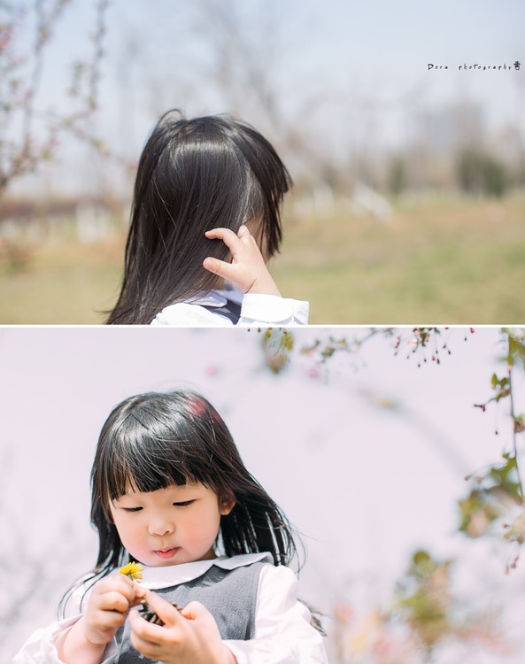 点击大图看下一张：微风吹拂着的春天