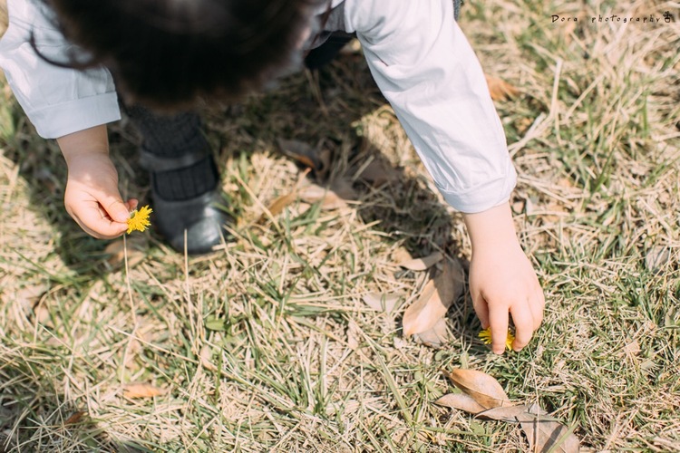 点击大图看下一张：微风吹拂着的春天
