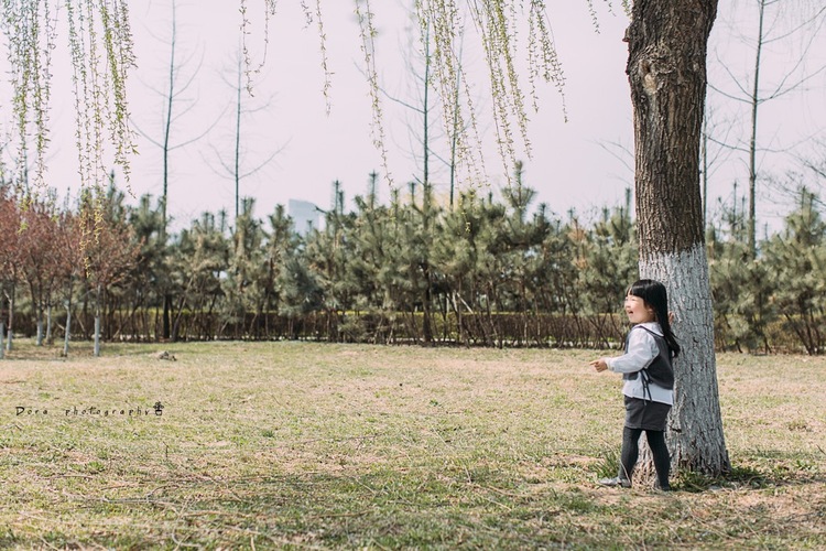 点击大图看下一张:微风吹拂着的春天