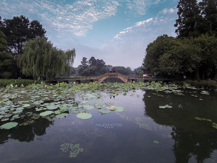 点击大图看下一张：夏日西湖