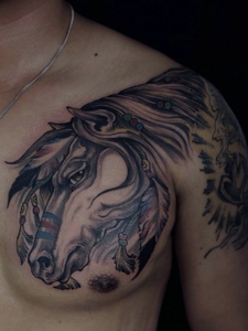 一匹俊俏的小白马半甲纹身图案
