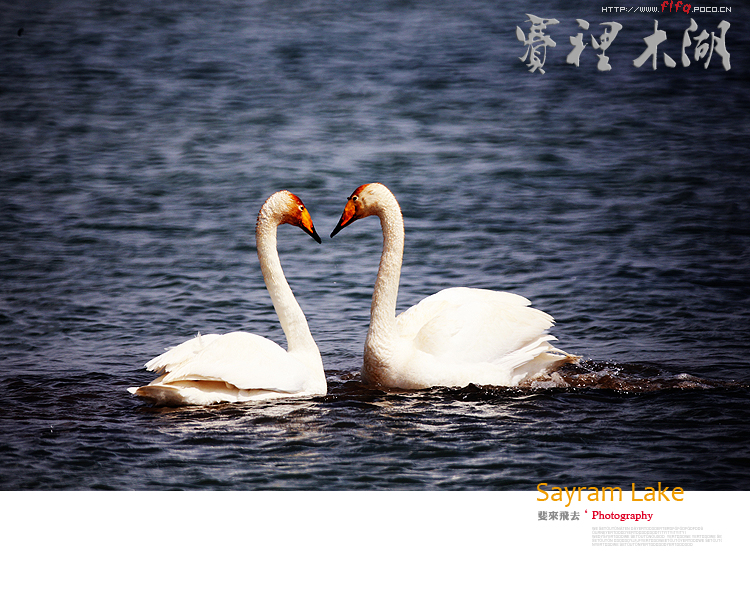 点击大图看下一张：赛里木湖