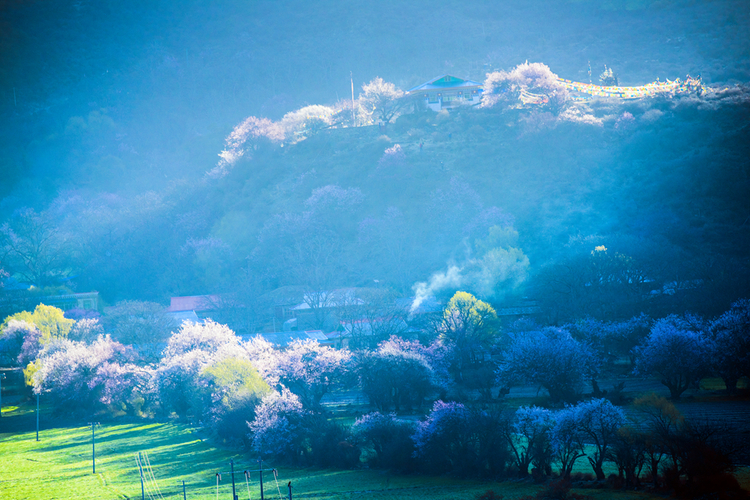 点击大图看下一张：桃花盛开的地方