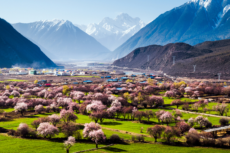 点击大图看下一张:桃花盛开的地方