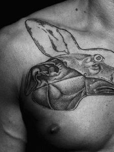 欧美经典动物纹身图案