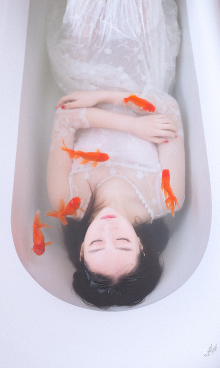 点击大图看下一张:如果鱼知道