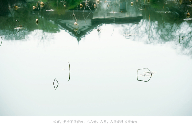 点击大图看下一张：梦回故乡南浔