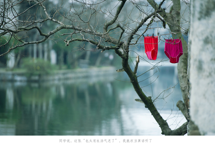 点击大图看下一张:梦回故乡南浔