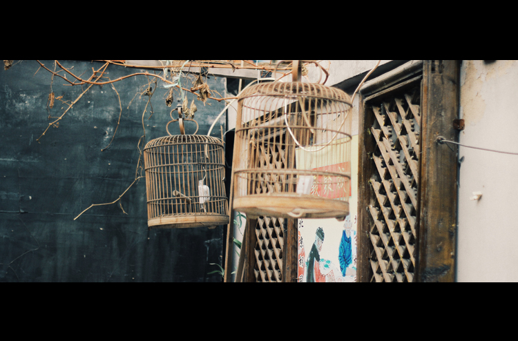 点击大图看下一张：生活在他处