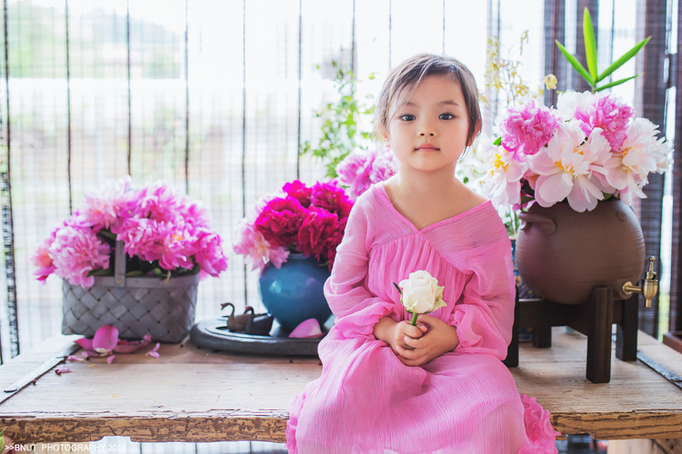 点击大图看下一张：花房日志