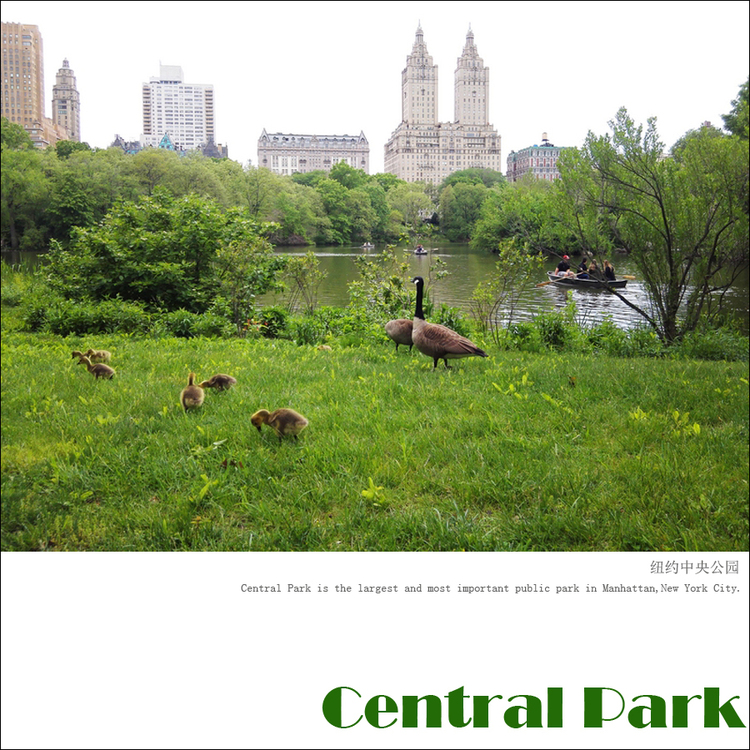 点击大图看下一张：纽约中央公园