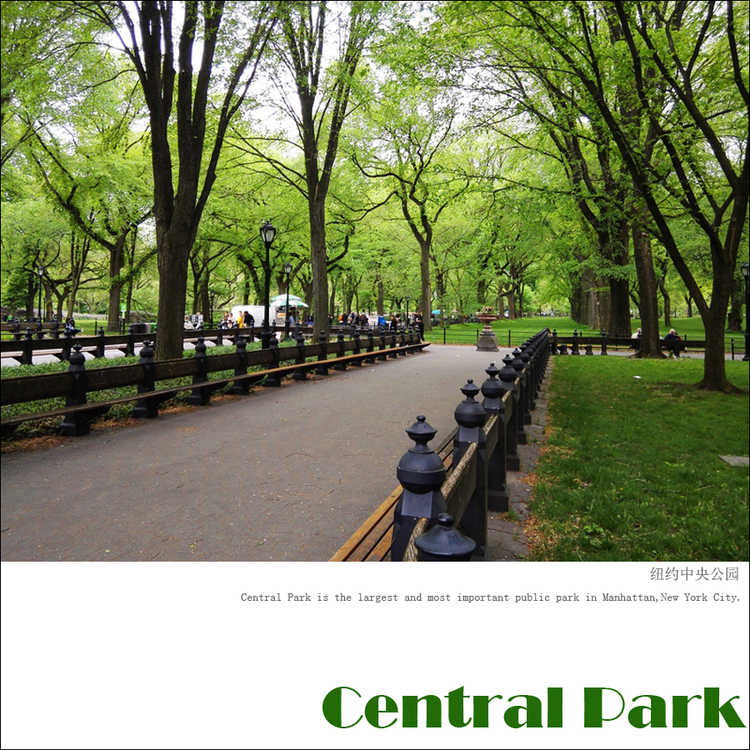 点击大图看下一张：纽约中央公园