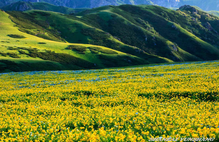 点击大图看下一张：陪你一起看草原