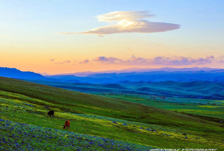 点击大图看下一张：陪你一起看草原