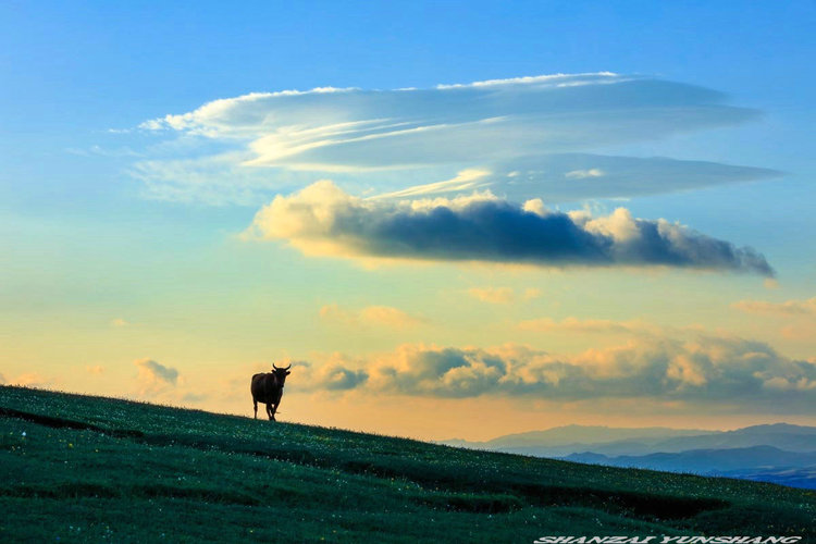 点击大图看下一张:陪你一起看草原