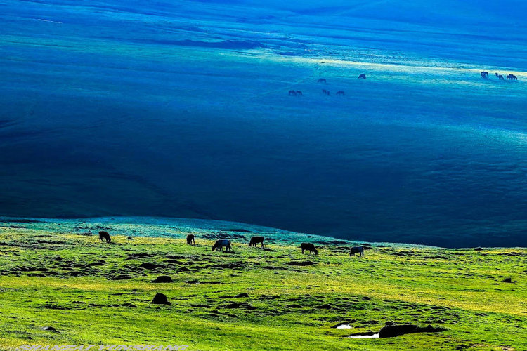 点击大图看下一张:陪你一起看草原