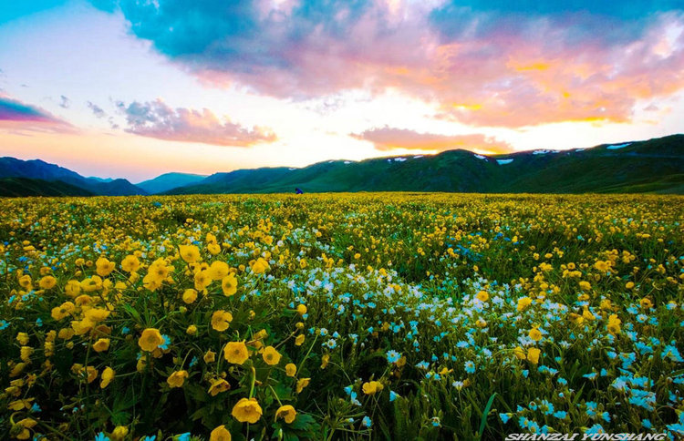 点击大图看下一张：陪你一起看草原