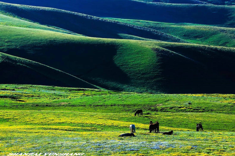 点击大图看下一张：陪你一起看草原