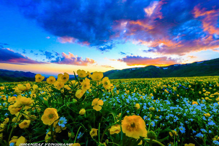 点击大图看下一张：陪你一起看草原