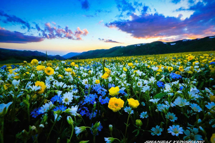 点击大图看下一张:陪你一起看草原