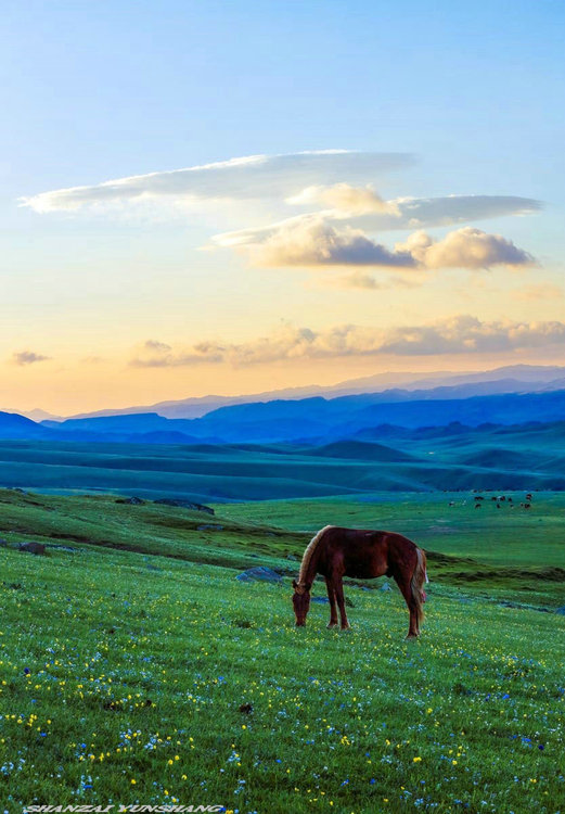 点击大图看下一张：陪你一起看草原