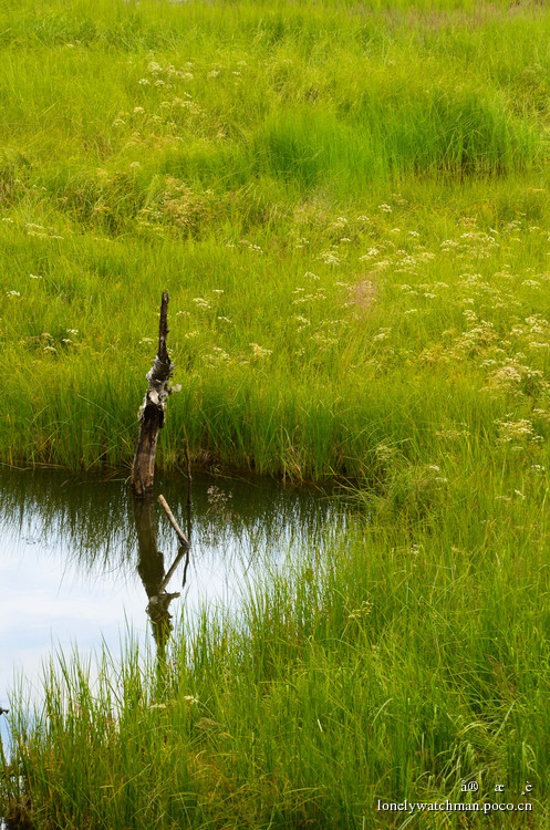 点击大图看下一张：普达措国家公园