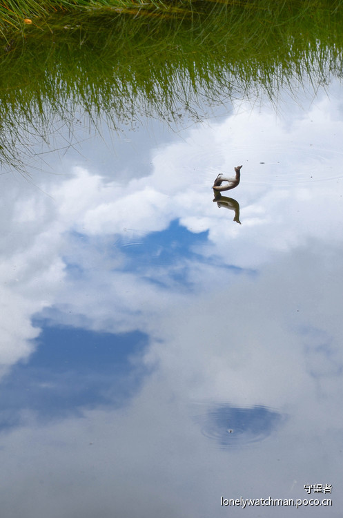 点击大图看下一张：普达措国家公园