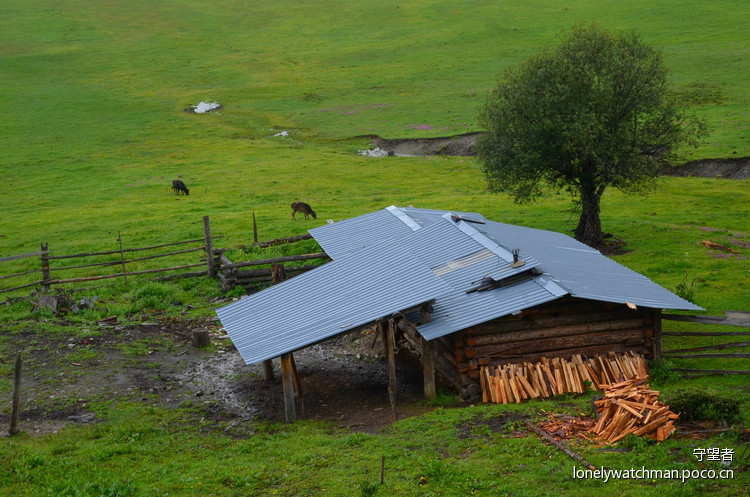 点击大图看下一张：普达措国家公园