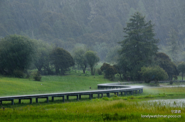点击大图看下一张:普达措国家公园