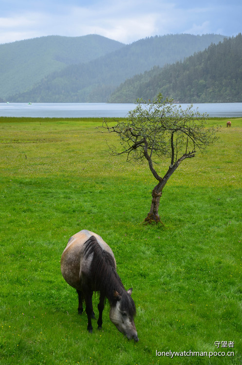 点击大图看下一张:普达措国家公园