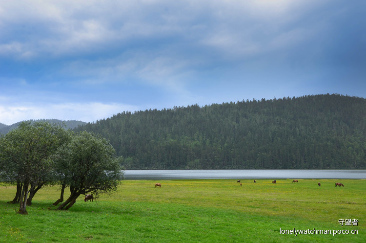 点击大图看下一张:普达措国家公园