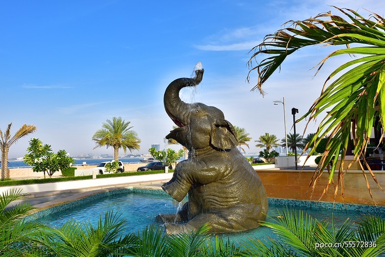 点击大图看下一张：安纳塔拉迪拜度假村