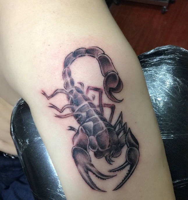 点击大图看下一张：大臂可恶的蜈蚣纹身刺青可怕极了
