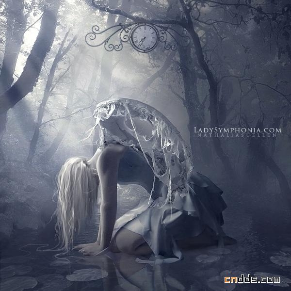 点击大图看下一张:滴血的玫瑰