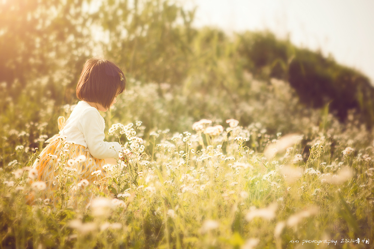点击大图看下一张：黄先森一家的傍晚时光