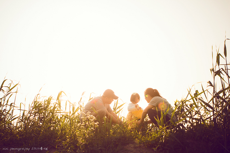 点击大图看下一张：黄先森一家的傍晚时光