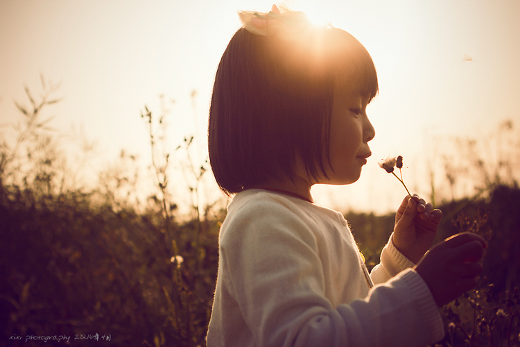 点击大图看下一张:黄先森一家的傍晚时光