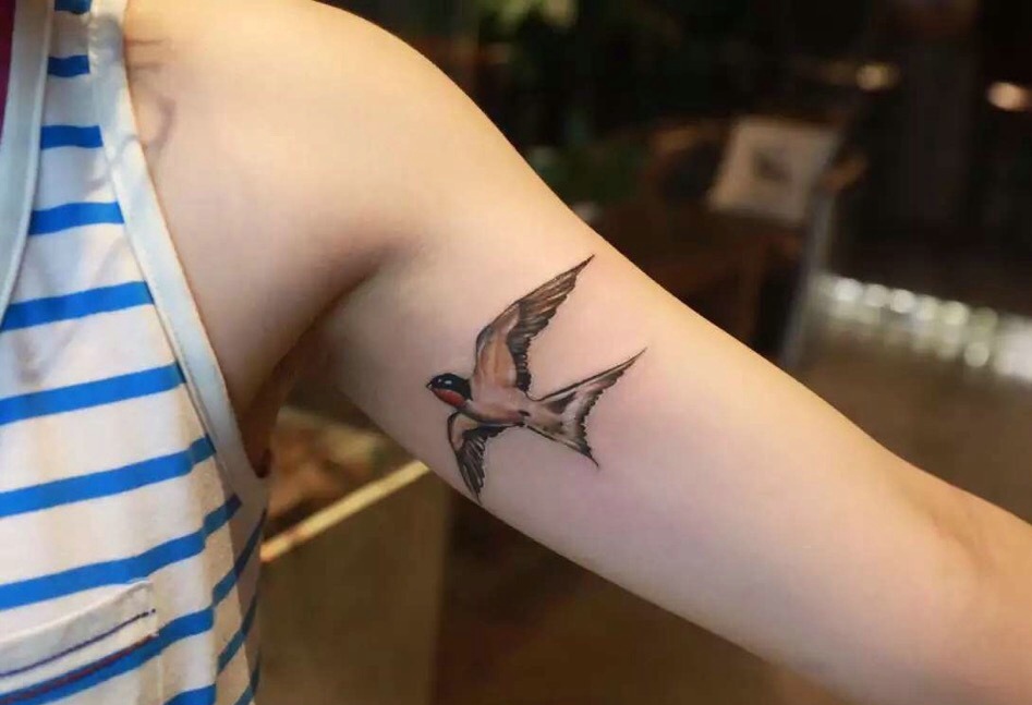 点击大图看下一张：手臂内侧自由飞翔的小燕子纹身刺青