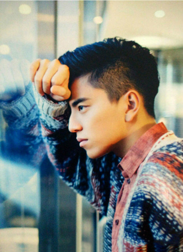 点击大图看下一张：影视演员王大陆图片大全