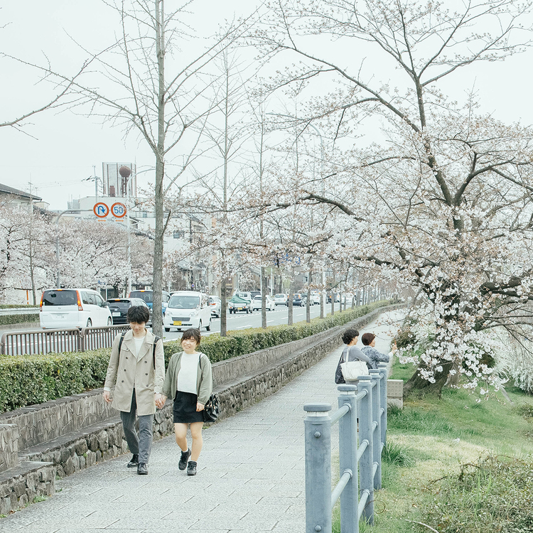 点击大图看下一张:掠影之在京都